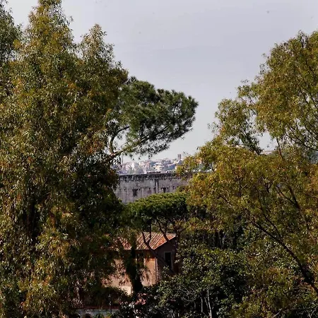 Clemy In Gæstehus 4*